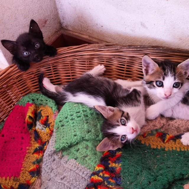 Mariah @grigoriadismariah Mariah @grigoriadismariah