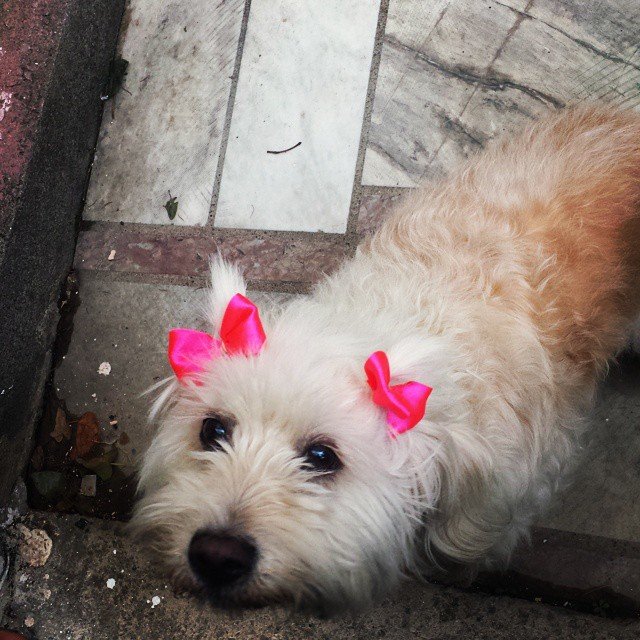 Daphne MK @daf_mark Daphne MK @daf_mark