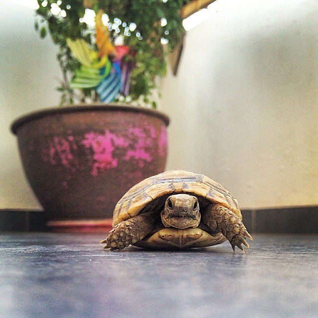 byron kais @byron kais byron kais @byron kais