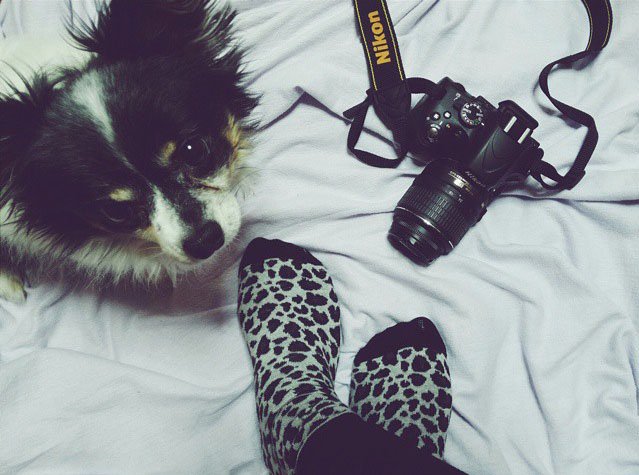 sofia__mg @sofia__mg sofia__mg @sofia__mg