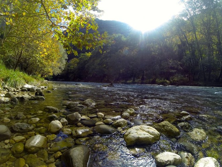 athens voice readers, greece