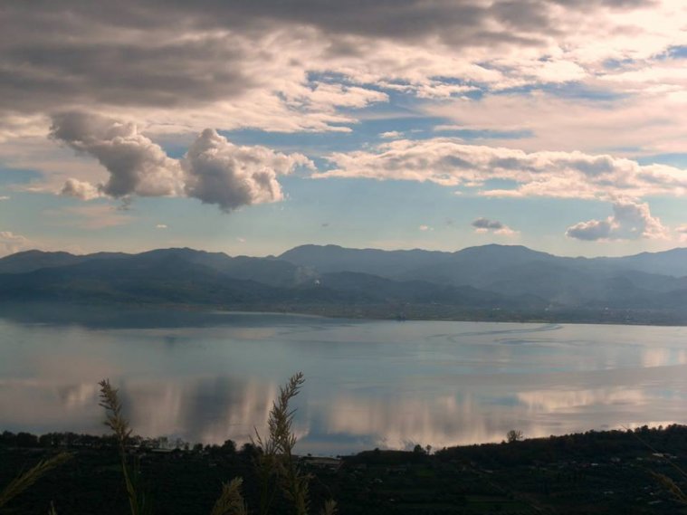 athens voice readers, greece