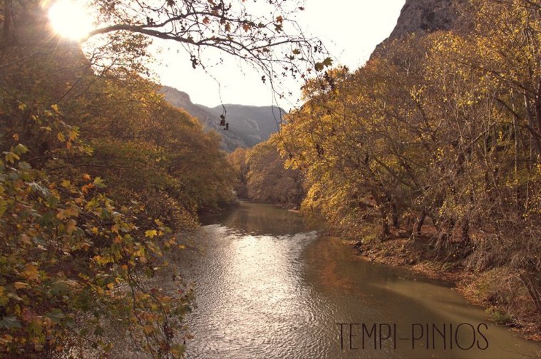 athens voice readers, greece