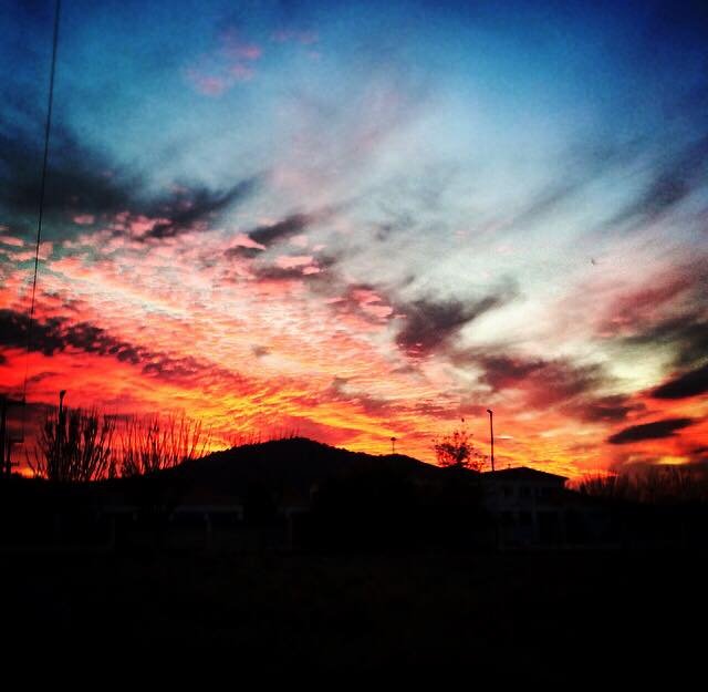 athens voice readers, greece