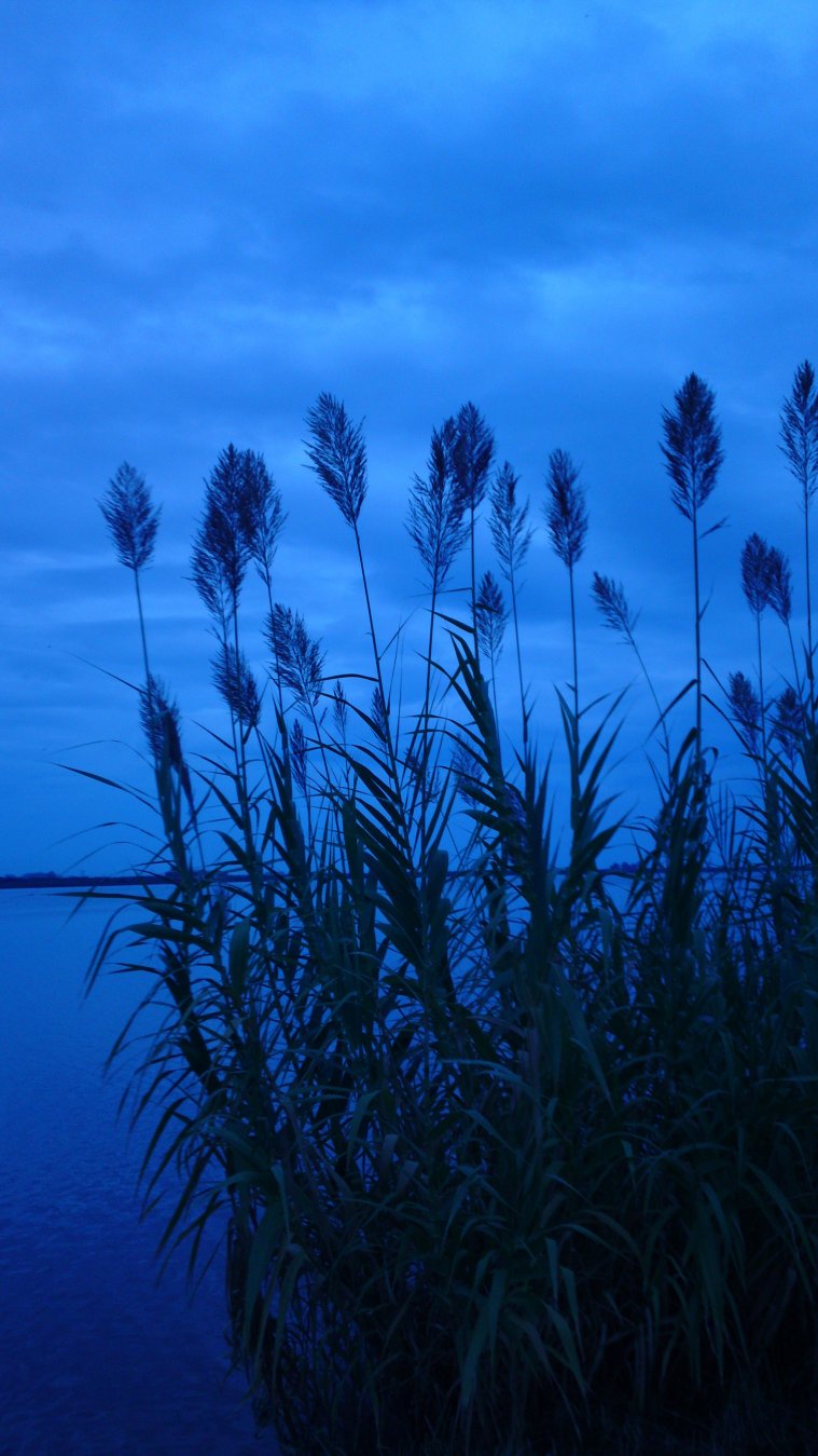 greece, athens voice