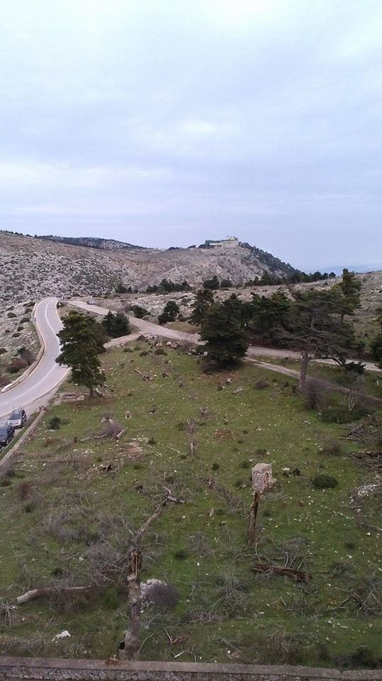 greece, athens voice greece, athens voice