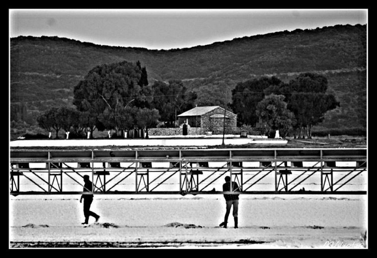 greece, athens voice greece, athens voice