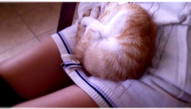 Insta#athensvoice 14.11.14