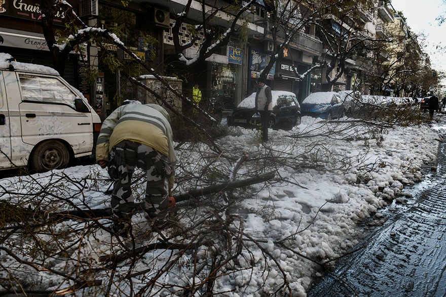 Κλαδιά δέντρων έπεσαν από την κακοκαιρία «Ελπίδα» στην Αθήνα