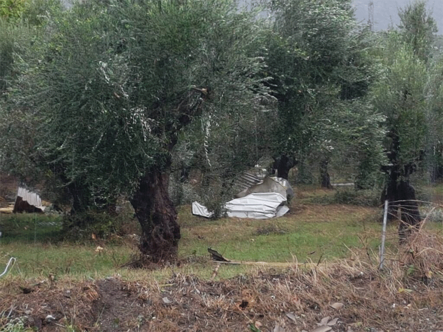 Καλαμάτα: Σαρωτικό το πέρασμα ανεμοστρόβιλου σε εργοστάσιο - Κομμάτια λαμαρίνας από την οροφή εκτοξεύτηκαν σε απόσταση πολλών μέτρων