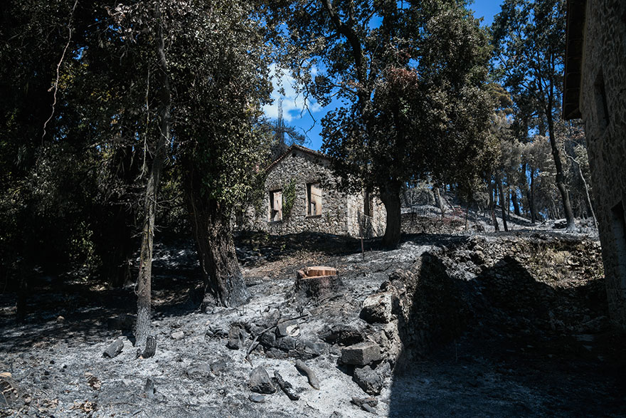 Η φωτιά στην Αττική προκάλεσε καταστροφές στα πρώην βασιλικά κτήματα στο Τατόι