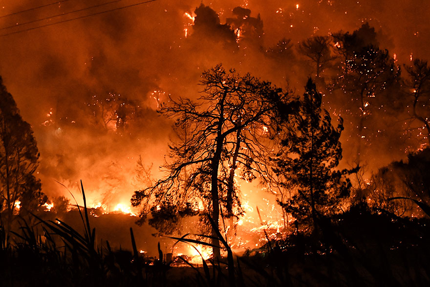 Δάσος στον Σχίνο Κορινθίας έγινε στάχτη κατά τη διάρκεια της νύχτας, καθώς η φωτιά έκαιγε ανεξέλεγκτη