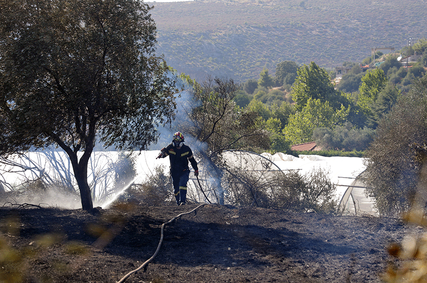 Φωτιά στον Μαραθώνα
