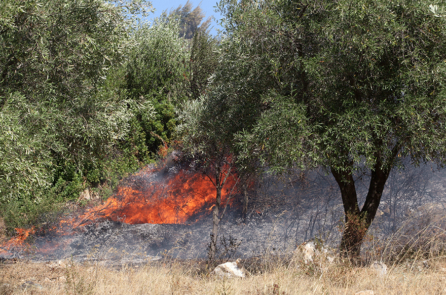 Φωτιά στον Μαραθώνα