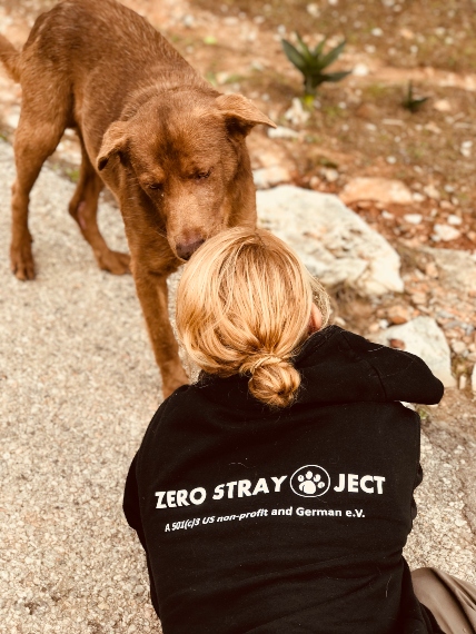 H οργάνωση Zero-stray-pawject