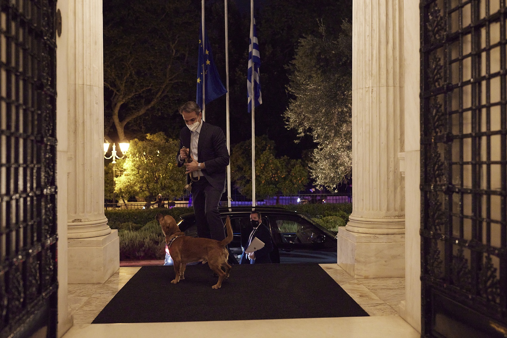 Ο σκύλος Πίνατ που υιοθέτησε ο πρωθυπουργός Κυριάκος Μητσοτάκης