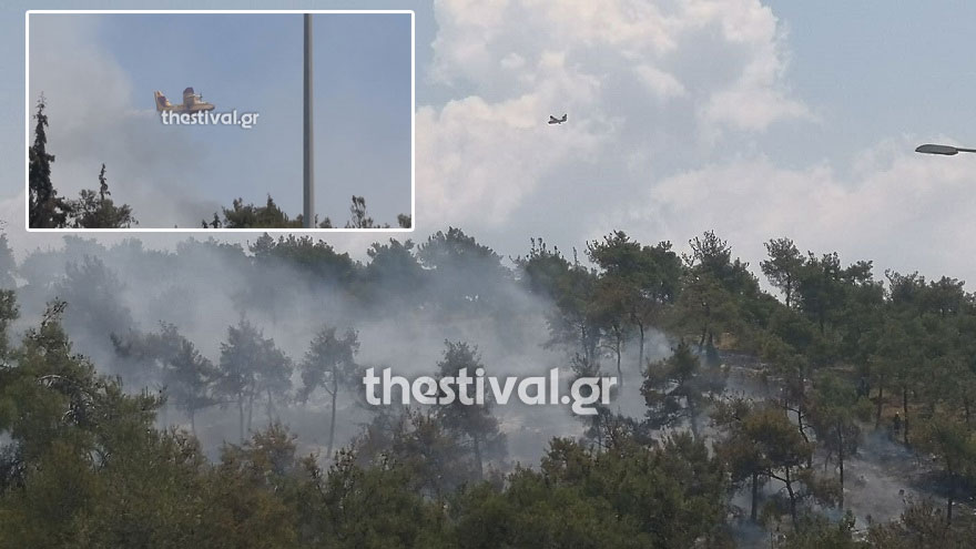 Αεροσκάφος Canadair επιχειρεί στη φωτιά στο Σέιχ Σου
