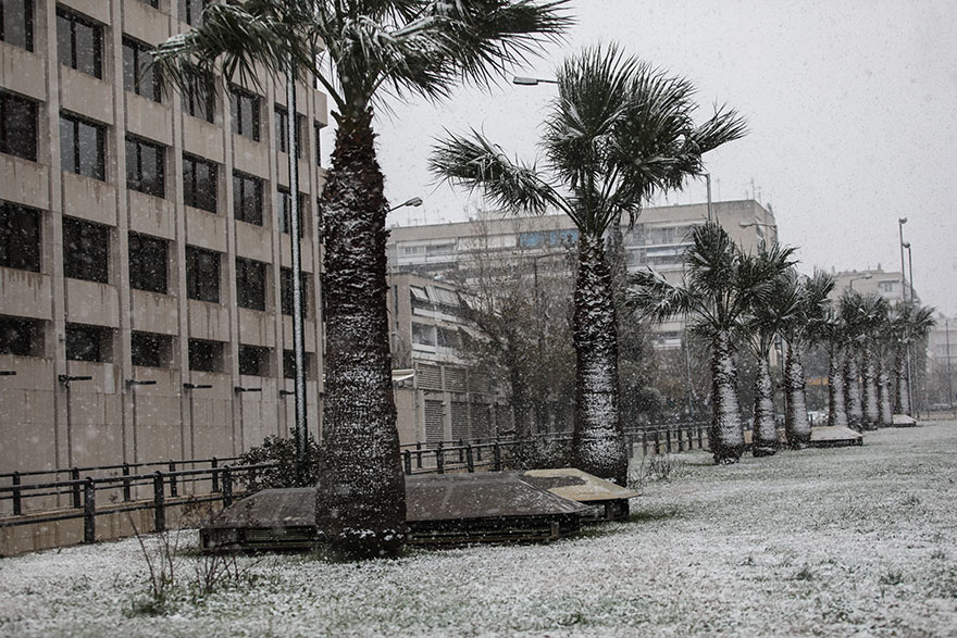 Στα λευκά οι φοίνικες στη Λεωφόρο Συγγρού λόγω της χιονόπτωσης