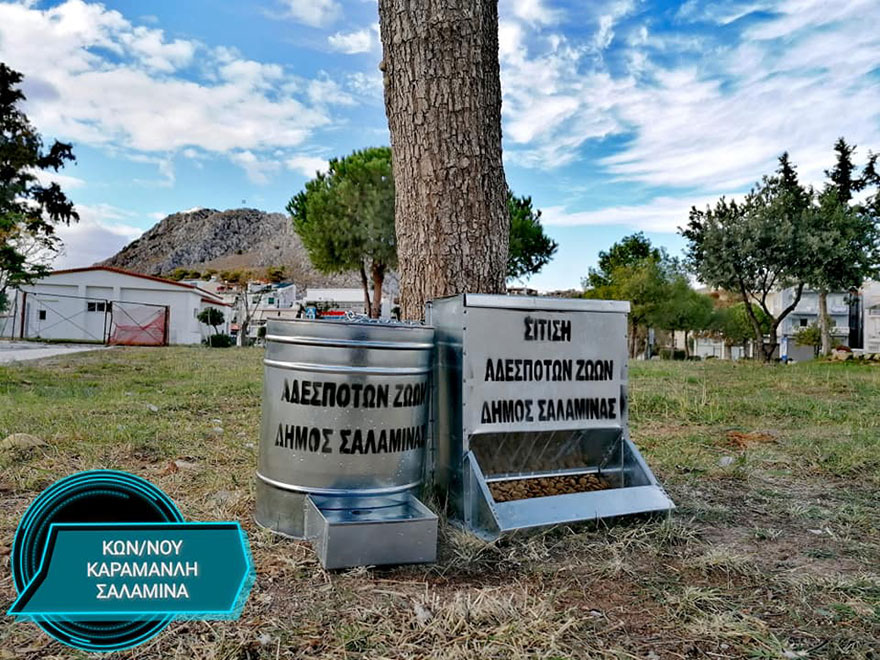 Δεκάδες ταΐστρες και ποτίστρες έχει τοποθετήσει ο Δήμος Σαλαμίνας για τα αδέσποτα σε σημεία του νησιού