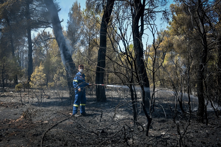 Καμένη έκταση στα Βίλια Αττικής - Σε εξέλιξη τα πύρινα μέτωπα © EUROKINISSI/ΤΑΤΙΑΝΑ ΜΠΟΛΑΡΗ