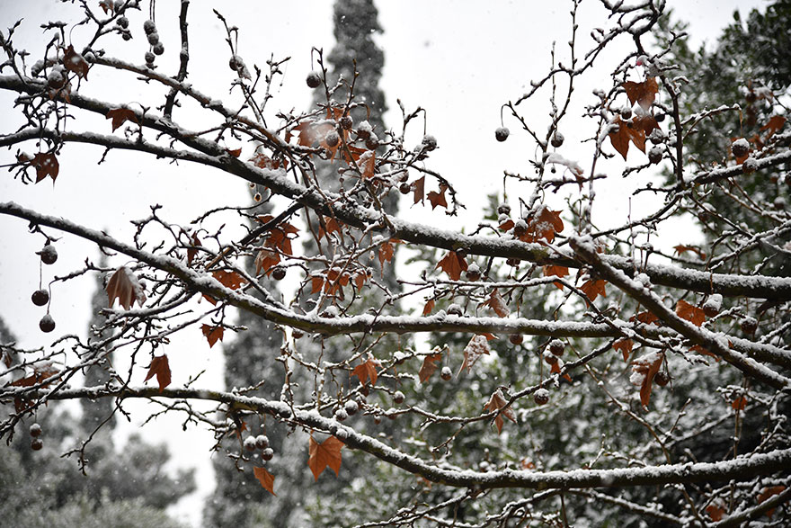 Χειμωνιάτικο τοπίο στο κέντρο της Αθήνας
