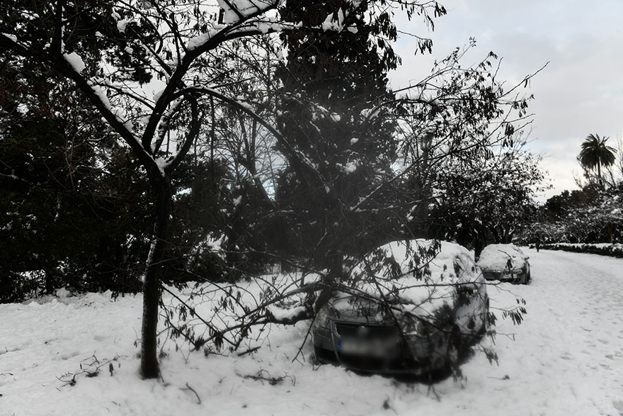 Κλαδιά δέντρου έπεσαν σε αυτοκίνητο - Ο χιονιάς στην Αθήνα προκάλεσε προβλήματα