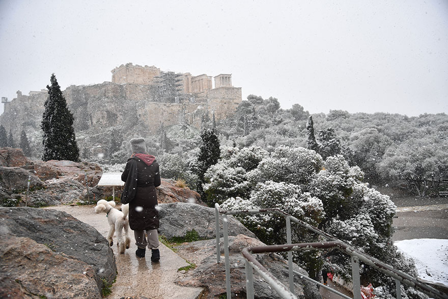Άνδρας βγάζει βόλτα τον σκύλο με φόντο τον χιονισμένο Βράχο της Ακρόπολης